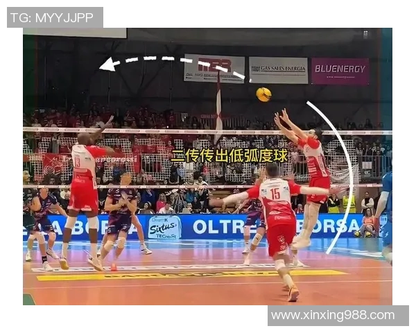 权威发布：全球排球战术实力排行榜揭晓各国球队竞争格局分析